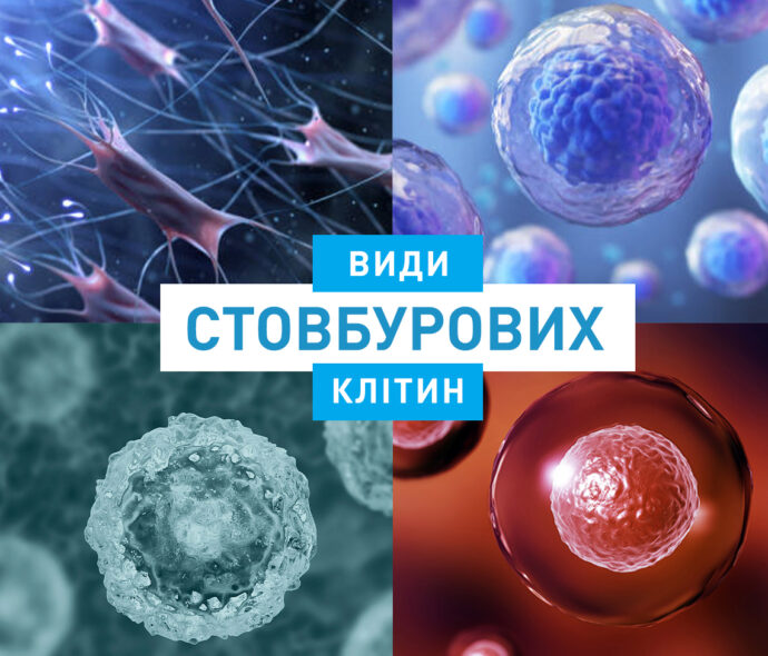 Види стовбурових клітин і можливості їх застосування
